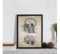 YLHKME Tableau Vintage Tête Humaine Et Cerveau Anatomie,Affiche Toile Tableau Decoration Murale Salon,pour Chambre Cuisine Bureau, Deco Maison, sans Cadre (Frameless,50X70CM)