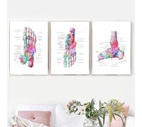 YLHKME Tableaux Pieds Abstrait Squelette Aquarelle Anatomie Clinique Impression sur Toile Affiche Tableau Decoration Murale Salon,pour Médical Médical Deco (Sans Cadre,3X30X50CM)