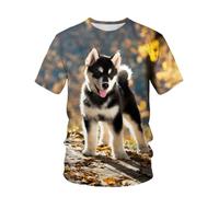 YLLMNOBN T-Shirt Homme imprimé 3D avec Un Adorable Chiot et des Feuilles, Coupe Ample et décontractée, Manches Courtes, idéal pour l'été.
