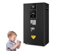 ylpddmm Distributeur d'eau Chaude électrique Professionnel, Chauffe-Eau, 50 L/60 L/80 L/Heure, Acier Inoxydable, Grande capacité, 2500 W, pour Restaurant, hôtel, Bureau,Black-60L