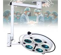 ylpddmm Lampe d'examen chirurgicale 25 W,lumière d'examen Dentaire médicale, température de Couleur réglable, pour Chirurgie Dentaire, ORL et vétérinaire