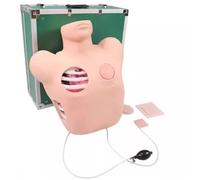 ylpddmm Modèle Drainage Thoracique Fermé, simulateur de Soins aux Patients, Formation au Pneumothorax et au Drainage Thoracique fermé (PVC), pour Formation Hospitalière