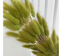 YLREAN 100pcs Queues de Lapin Bouquet de Fleurs Séchées en Herbe Boho Décoration d'Intérieur Naturel Lagurus Ovatus Floral Décoration de Mariage-vert-100PCS