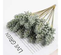 YLREAN 32cm Épi de blé Fleur séchée Naturelle Queue de Lapin Roseau Bouquet séché Décoration de fête de Mariage Plantes-Vert foncé-6