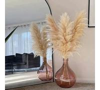 YLREAN Décoration de Noël en Gazon Naturel, Bouquet de Fleurs séchées, Grandes et moelleuses, Arrangements Floraux de Mariage, Naturel, 80 cm, 5 pièces