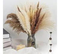 YLREAN Lot de 100 Bouquets de Fleurs séchées Naturelles moelleuses de 60 cm, pour décoration de Jardin, de Mariage, Style bohème, Environ 60 cm (sans Vase)