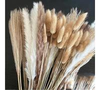 YLREAN Lot de 100 Bouquets de Fleurs séchées Naturelles moelleuses de 60 cm, pour décoration de Jardin, de Mariage, Style bohème, Environ 60 cm (sans Vase)