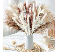 YLREAN Lot de 100 Bouquets de Fleurs séchées Naturelles moelleuses de 60 cm, pour décoration de Jardin, de Mariage, Style bohème, Environ 60 cm (sans Vase)