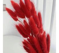 YLREAN Lot de 100 queues de Lapin séchées en Herbe pour décoration d'intérieur Style bohème, Fleurs Naturelles de Lagurus Ovatus, décoration de Mariage, Rouge