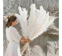 YLREAN Lot de 5 Grandes Fleurs séchées Naturelles en Herbe Duveteuse de 110 à 120 cm pour décoration de Mariage, Bouquet de Fleurs, Arrangement Cadeau, Blanc