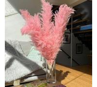 YLREAN Lot de 5 Grandes Fleurs séchées Naturelles en Herbe Duveteuse de 110 à 120 cm pour décoration de Mariage, Bouquet de Fleurs, Arrangement Cadeau, Rose