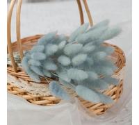 YLREAN Lot de 60 queues de Lapin mélangées en Herbe pour décoration de gâteau, Bouquet de Fleurs séchées pour décoration de Table bohème, Vert Clair