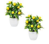 YLSZHY Lot de 2 Pots de bonsaï artificiels en Pot pour la Maison, Le Bureau, la Cuisine, Le Jardin, la décoration de Bureau