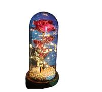 Ymnilian Rose Eternelle, Rose Eternelle sous Cloche Fleur éternelle Rose en Fleurs artificielles de noël for la décoration Cadeaux Mariage fête des mères(012)