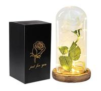 Ymnilian Rose Eternelle, Rose Eternelle sous Cloche Rose éternelle Artificielle avec Couvercle en Verre, décoration for la Saint-Valentin, Un Mariage, Anniversaire, Cadeau(White)