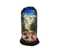 Ymnilian Rose Eternelle, Rose Eternelle sous Cloche Rose éternelle en Flacon, décoration de Mariage, Fleur Artificielle Couverture, Cadeau Saint-Valentin, Maison(016)