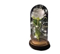 Ymnilian Rose Eternelle, Rose Eternelle sous Cloche Rose éternelle en Flacon, décoration de Mariage, Fleur Artificielle Couverture, Cadeau Saint-Valentin, Maison(002)