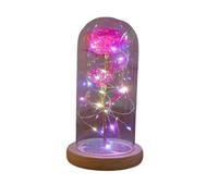 Ymnilian Rose Eternelle, Rose Eternelle sous Cloche Rose éternelle en Verre, Fleurs artificielles de noël, for décoration, Cadeaux Mariage for la Maison(041)