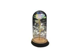 Ymnilian Rose Eternelle, Rose Eternelle sous Cloche Rose éternelle enchantée avec guirlandes Lumineuses dans Un dôme for Cadeau de Noël, la Saint-Valentin(7)