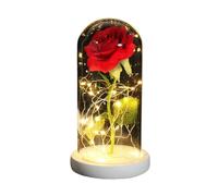 Ymnilian Rose Eternelle, Rose Eternelle sous Cloche Rose éternelle enchantée avec guirlandes Lumineuses dans Un dôme for Cadeau de Noël, la Saint-Valentin(White Base Red 2)