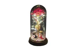 Ymnilian Rose Eternelle, Rose Eternelle sous Cloche Rose éternelle enchantée avec guirlandes Lumineuses dans Un dôme for Cadeau de Noël, la Saint-Valentin(15)
