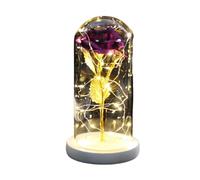 Ymnilian Rose Eternelle, Rose Eternelle sous Cloche Rose éternelle enchantée avec guirlandes Lumineuses dans Un dôme for Cadeau de Noël, la Saint-Valentin(White Base Purple)