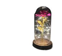 Ymnilian Rose Eternelle, Rose Eternelle sous Cloche Rose éternelle enchantée avec guirlandes Lumineuses dans Un dôme for Cadeau de Noël, la Saint-Valentin(9)