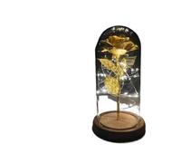Ymnilian Rose Eternelle, Rose Eternelle sous Cloche Rose éternelle enchantée avec guirlandes Lumineuses dans Un dôme for Cadeau de Noël, la Saint-Valentin(5)