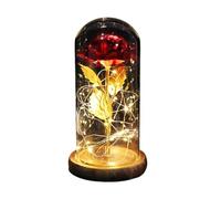 Ymnilian Rose Eternelle, Rose Eternelle sous Cloche Rose éternelle enchantée avec guirlandes Lumineuses dans Un dôme for Cadeau de Noël, la Saint-Valentin(Brown Base Red)
