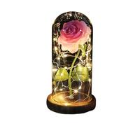 Ymnilian Rose Eternelle, Rose Eternelle sous Cloche Rose éternelle enchantée avec guirlandes Lumineuses dans Un dôme for Cadeau de Noël, la Saint-Valentin(Brown Base Pink)