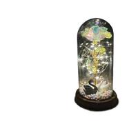 Ymnilian Rose Eternelle, Rose Eternelle sous Cloche Rose éternelle enchantée avec guirlandes Lumineuses dans Un dôme for Cadeau de Noël, la Saint-Valentin(11)