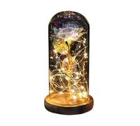 Ymnilian Rose Eternelle, Rose Eternelle sous Cloche Rose éternelle enchantée avec guirlandes Lumineuses dans Un dôme for Cadeau de Noël, la Saint-Valentin(Brown Base Bright)