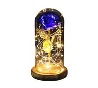 Ymnilian Rose Eternelle, Rose Eternelle sous Cloche Rose éternelle enchantée avec guirlandes Lumineuses dans Un dôme for Cadeau de Noël, la Saint-Valentin(Brown Base Blue)