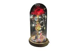 Ymnilian Rose Eternelle, Rose Eternelle sous Cloche Rose éternelle enchantée en Feuille d'or 24 carats, Cadeau de Saint-Valentin, avec Guirlande Lumineuse féerique dans Un dôme for Le Mariage(022)