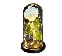 Ymnilian Rose Eternelle, Rose Eternelle sous Cloche Rose éternelle enchantée en Feuille d'or 24 carats, Cadeau de Saint-Valentin, avec Guirlande Lumineuse féerique dans Un dôme for Le Mariage(030)