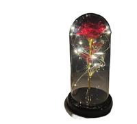 Ymnilian Rose Eternelle, Rose Eternelle sous Cloche Rose éternelle enchantée en Feuille d'or 24 carats, Cadeau de Saint-Valentin, avec Guirlande Lumineuse féerique dans Un dôme for Le Mariage(028)