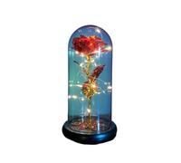 Ymnilian Rose Eternelle, Rose Eternelle sous Cloche Rose éternelle enchantée en Feuille d'or 24K, avec Guirlande Lumineuse féerique dôme, Cadeau de noël et la Saint-Valentin(037)