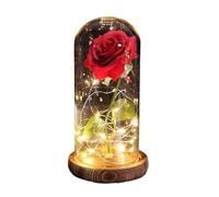 Ymnilian Rose Eternelle, Rose Eternelle sous Cloche Rose éternelle enchantée en Feuille d'or 24K, avec Guirlande Lumineuse féerique dôme, Cadeau de noël et la Saint-Valentin(001)