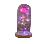 Ymnilian Rose Eternelle, Rose Eternelle sous Cloche Rose éternelle enchantée en Feuille d'or 24K, avec Guirlande Lumineuse féerique dôme, Cadeau de noël et la Saint-Valentin(041)