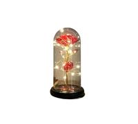 Ymnilian Rose Eternelle, Rose Eternelle sous Cloche Rose Magique éternelle en Feuille d'or 24 carats, dôme de Fleur, Guirlande Lumineuse féerique, Cadeau noël, Saint-Valentin, fête des mères(037)