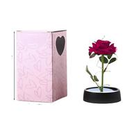 Ymnilian Rose Eternelle, Rose Eternelle sous Cloche Roses artificielles éternelles, avec Couvercle en Verre, lumière, Cadeau d'anniversaire, de Mariage, Saint-Valentin, Ornements luminescents(S3)