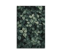 YMXHJJ Impression sur toile abstraite minimaliste - Poster botanique minimaliste avec feuilles vertes luxuriantes - Affiches d'œuvre d'art pour décoration de salon - 50 x 75 cm