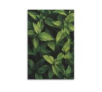 YMXHJJ Impression sur toile abstraite minimaliste - Poster botanique minimaliste avec feuilles vertes fraîches - Affiches d'œuvre d'art pour décoration de salon - 50 x 75 cm