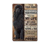 Ymyoo Plaque en métal vintage avec inscription « I Am Your Friend » - Cadeau pour les amateurs de caniche - Décoration murale d'extérieur pour restaurant - 20,3 x 30,5 cm
