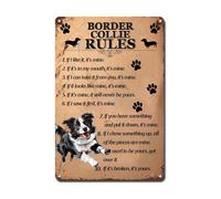 Ymyoo Plaque en métal vintage - Décoration murale vintage - Règles de Border Collie - Cadeau pour chambre - 20,3 x 30,5 cm