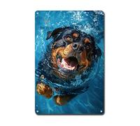 Ymyoo Plaque murale décorative vintage en aluminium résistant à la corrosion pour les amateurs de Rottweiler, zones de sécurité extérieures, 30,5 x 40,6 cm