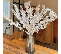 YN HI FLOWER 10 tiges d'eucalyptus préservés et de ruscus italien - Bouquet de verdure séchée de 43,2 cm pour centres de table de mariage, décoration d'intérieur bohème, arrangements de vases