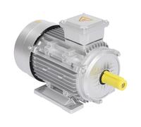 YNAADYH Moteur électrique triphasé 4 kW - Moteur à grande vitesse - 230 V 380 V - Moteur asynchrone à courant triphasé - 400 V - 2895 tr/min - Arbre de 28 mm (1400 tr/min 4 kW 14 mm)