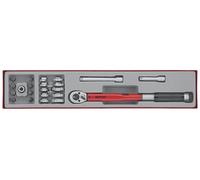 ynamométrique pour droitiers TTX4 tray 3/8 20-110nm 22pc Teng Tools TTX3892