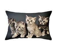 YNGBAAO Taie d'oreiller 1pcs 40x60cm Housse de Coussin Carré Velours Double Face Fermeture Glissière Invisible Décoratif Maison Salon Chambre pour Canapé(Chat Animal X870,16x24inch)